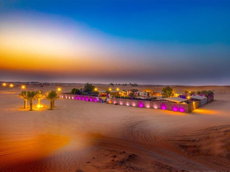 Desert Safari with BBQ Dinner