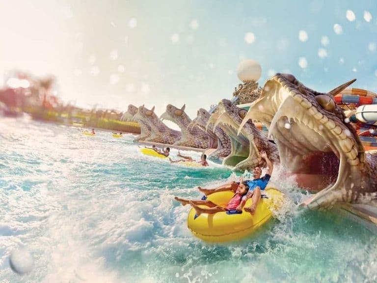 Yas Waterworld Single Day Ticket