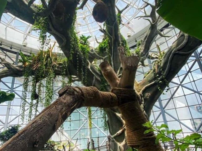 The Green Planet Dubai