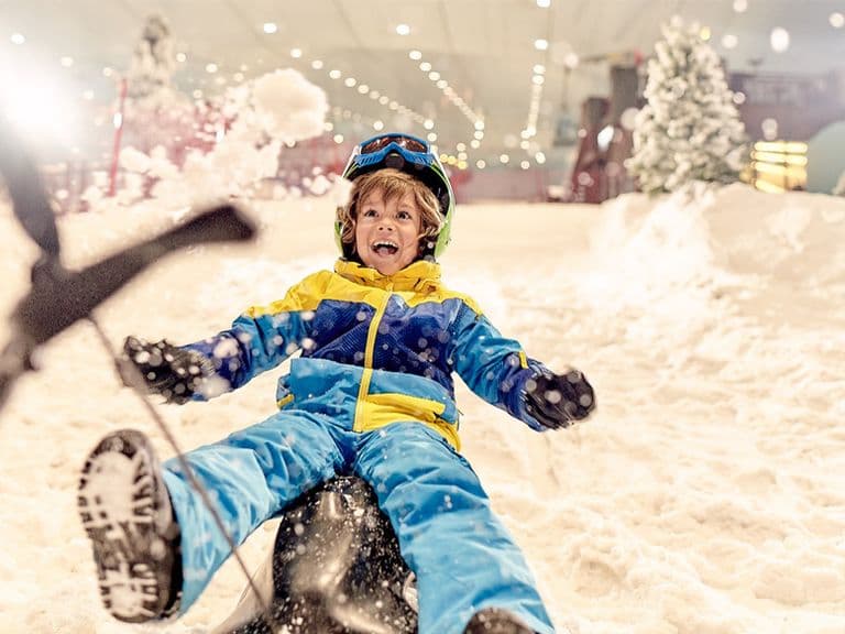Snow Park Snow Plus