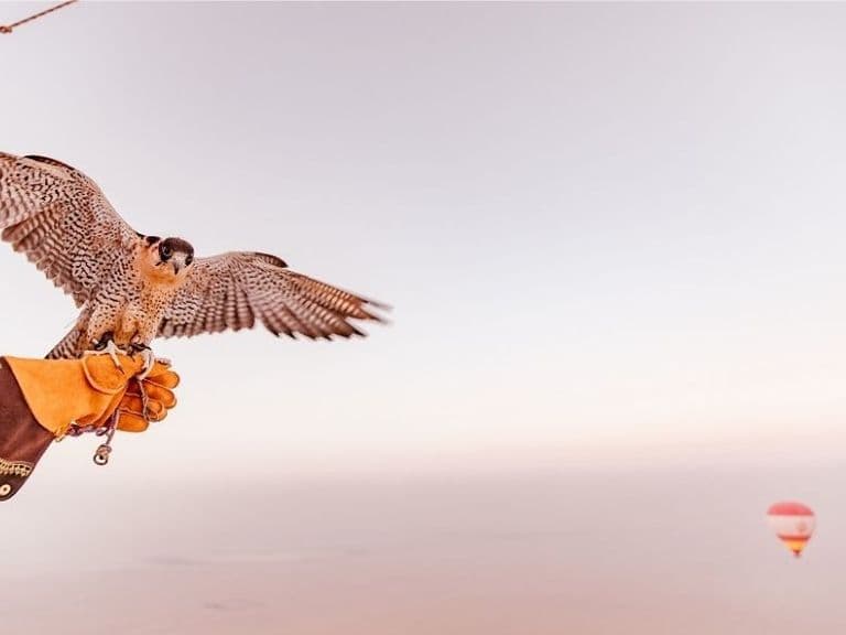 Standard Hot Air Balloon Ride, photo 3