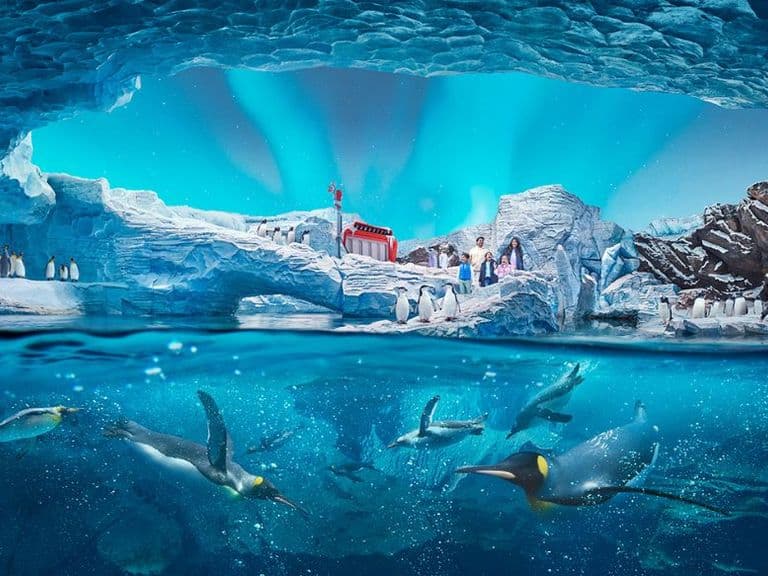 SeaWorld Abu Dhabi