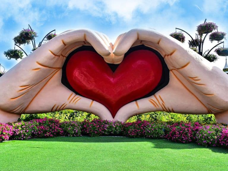 Miracle Garden Dubai, photo 3