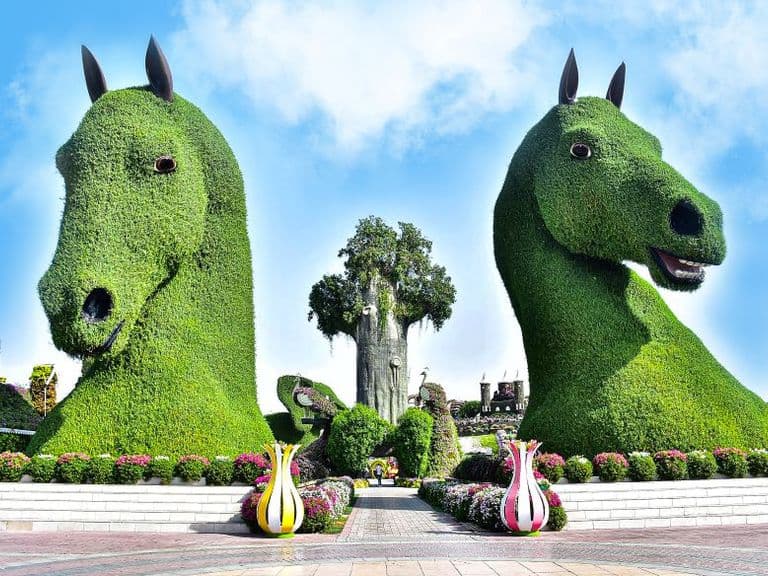 Miracle Garden Dubai, photo 4