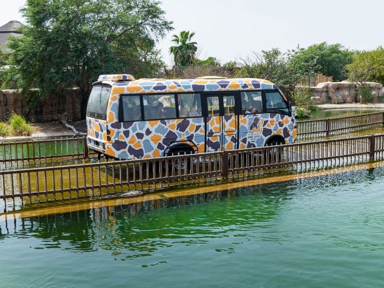 dubai safari park offer