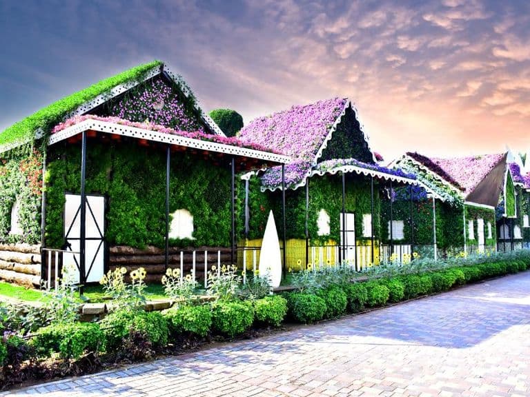 Dubai miracle garden combo