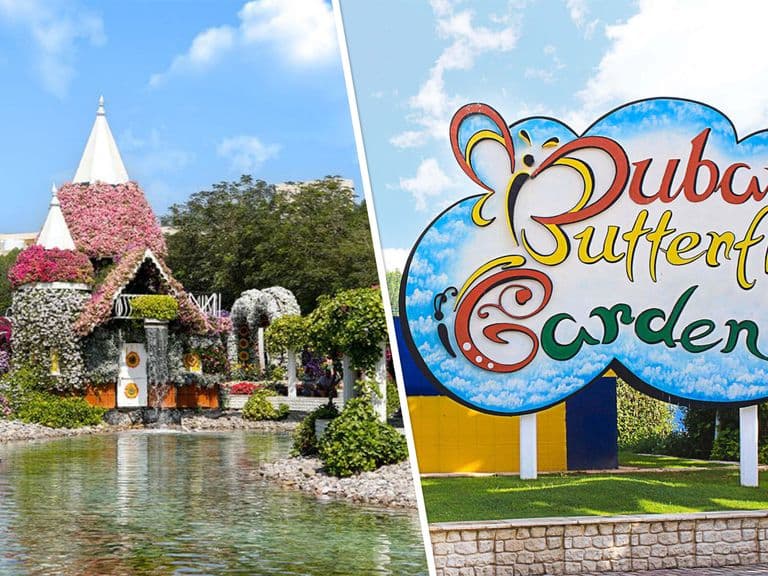 Dubai Miracle Garden and Butterfly Garden Combo